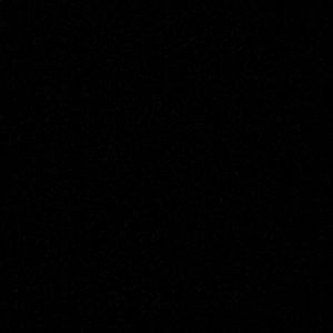 Meet your Posher, Trint